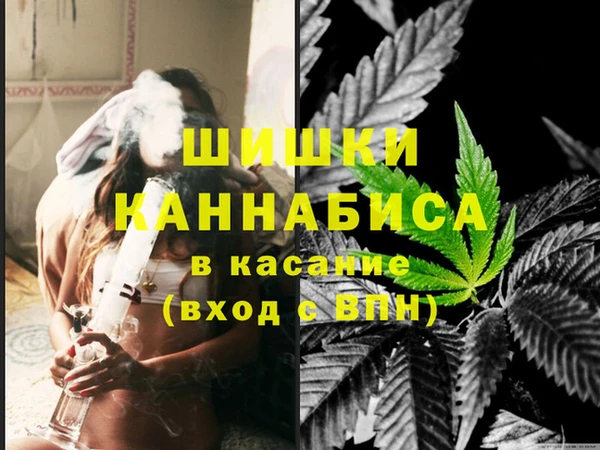 шишки Алексин