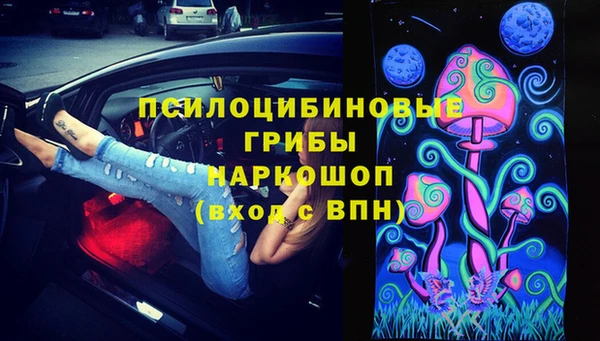 шишки Алексин