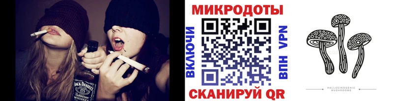 Галлюциногенные грибы Psilocybe  Новая Ляля 
